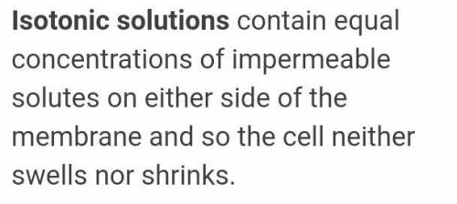 What is isotonic solution?
