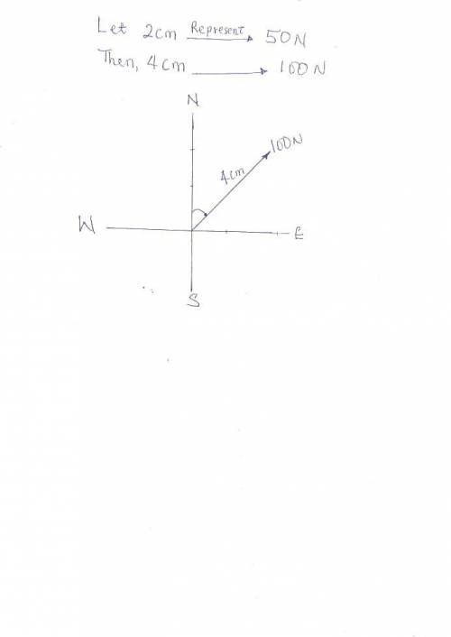 Represent a vector of 100 N in North-East direction