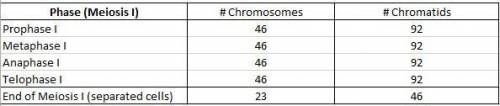 How many chromosomes are
present during prophase? *
In mitosis