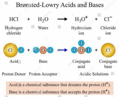 A molecule that binds up excess hydrogen ions in a solution is called a(n) .

1. acid 
2. isotope 
3