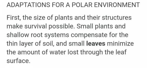 In polar habitat what a climate and adaptation of plant