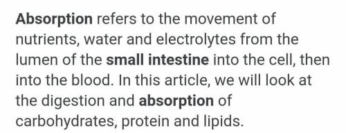 What is absorption in small intestine