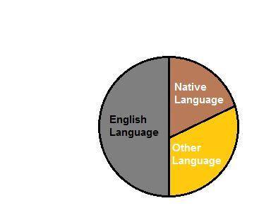 Native language is better than the English language. Describe