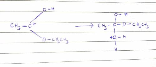 Describe the acid-catalyzed second slow step in the hydrolysis of an ester.