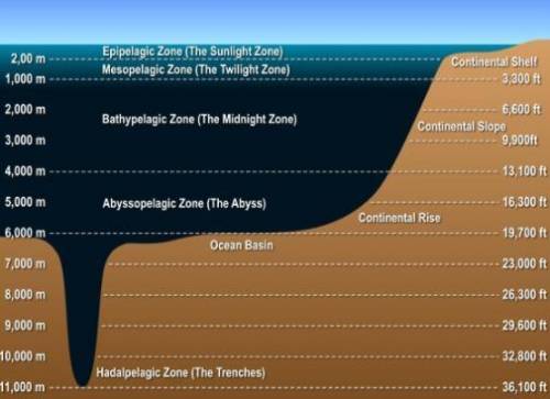 What are the layers of hydrosphere?