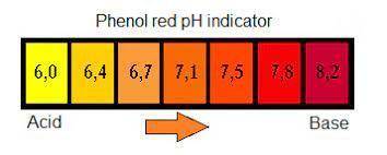 If a solution is undergoing a reaction where CO2 is being created a product, what color is the pheno