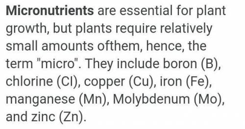 1. Which of the following is a micronutrient?