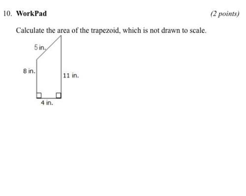 Need now 100 points need 1 paragraph each explaining questions 9 and 10 will mark brainliest !