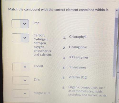 Match the compound with the correct element contained within it. iron 1. chlorophyll