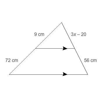 Pleasseee will mark brainliest what is the value of x?  x