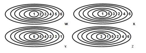 Which diagram best represents the relationship of the items in the list below?  1. cell