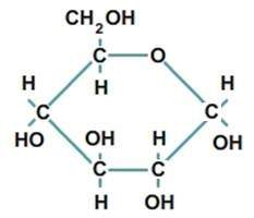 What biological macromolecule is made up of monomers like the one shown below?  fat