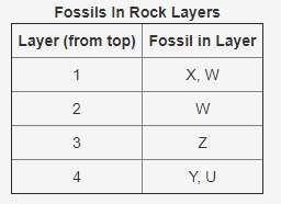 Which statement about the organisms whose fossils are found in the rock is correct?  a.)