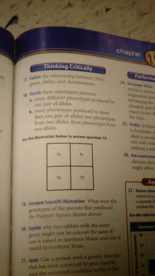 On number 18 i don't get it.can someone
