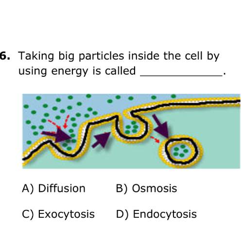 Taking big particles inside the cell by using energy is called  a diffusion  b osm