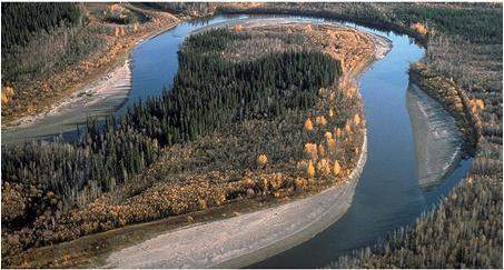 Oxbows form in rivers because the water erodes soil from the outside of a curve and deposits materia