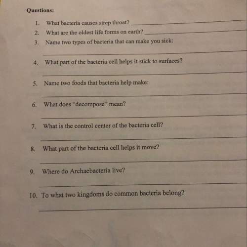 Can somebody me with theses questions?