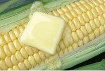 Brittany placed a cold piece of butter on a hot ear of corn. the butter began to melt.