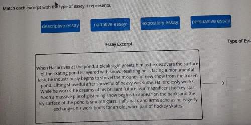 Idont understand this i dont even know what a expository essay even is.