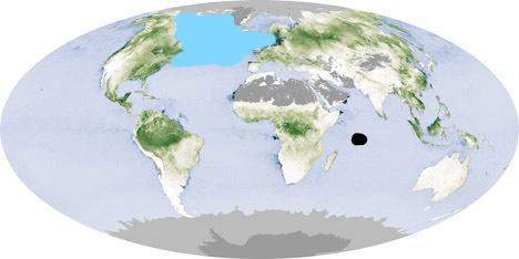 The absorption of carbon dioxide from plants can be analyzed via satellite as shown in the image bel