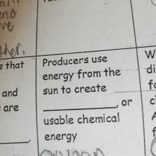 Producers use energy from the sun to create or usable chemical energy?