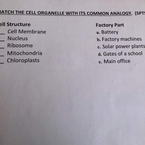 Match the cell organelle with its common analogy. (5pts) cell structure cell membrane