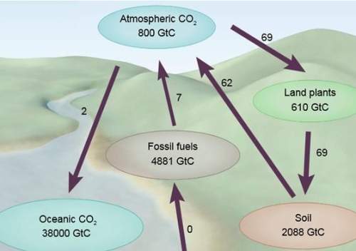 Suppose the inputs and outputs to the atmospheric carbon reservoir each year were as shown below. ho