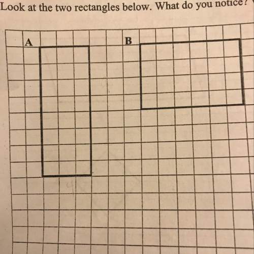What is the perimeter of rectangle a?