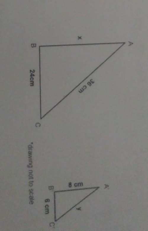 Use the picture above to find the following: scale factor (scale/actual)the value of x