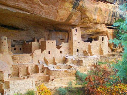 Which civilization lived in elaborate cliff dwellings?

Anasazi
Iroquois
Plains
Algonquian