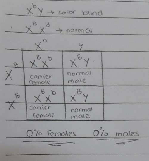 (HELP punnet squares biology) A male is colorblind and his wife has normal vision. What percent chan