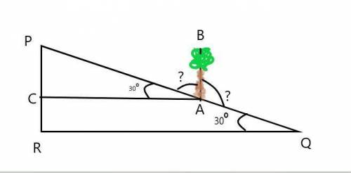 8. A tree on a 30° slope grows straight up. What are the measures of the

greatest and smallest angl