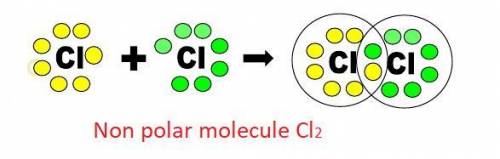 The chemical formula for a molecule that contains two chlorine (Cl) atoms is