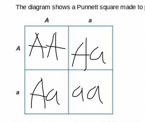 Question is in the pic. 20 points to answer.