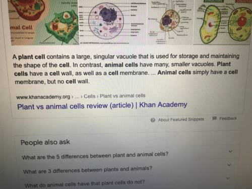 If you were looking through a microscope at cells, how would you determine if they are plant or anim