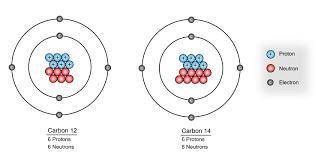 Compare the particle compositions of the two examples of carbon atoms listed in the table. How are t