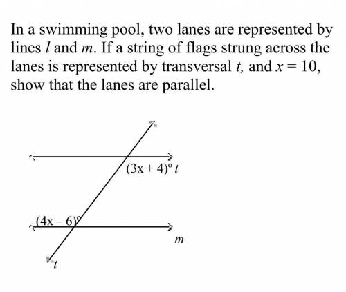 In a swimming pool, two lanes are represented by lines l and m. If a string of flags strung across t