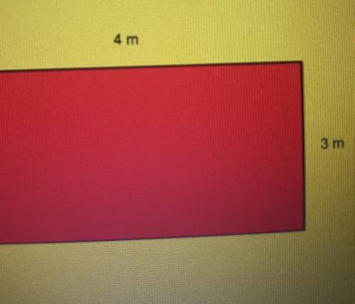 Si la base de un rectángulo mide 4 metros cuánto sería su medida de altura