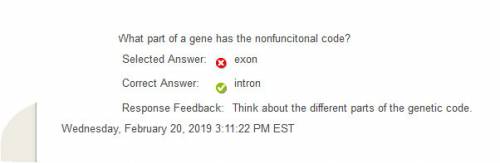 What part of a gene has the nonfunctional code (science)