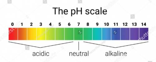 Indicate whether a solution will have more OH– or H+ if the pH value of the solution
is 10.