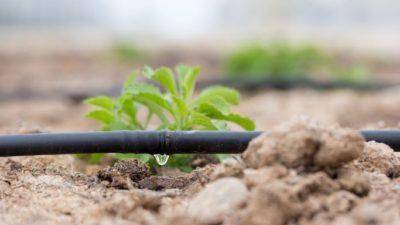 How can drip irrigation be useful in farming