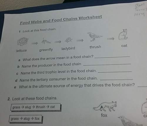 What does the arrow of the food chain mean