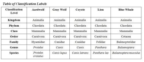 Which organisms in the table is (are) most similar to a tiger (panthera tigris)? explain