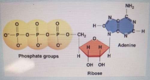 What molecule is shown in this image?