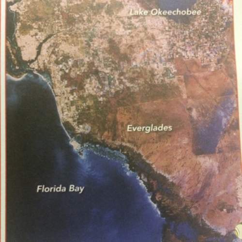 What does blue represent in the photo? what does that tell you about the everglades?