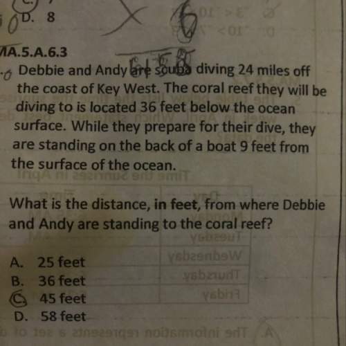 What is the distance, in feet, from where debbie and andy are standing to the coral reef?