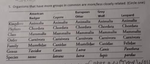 Organisms that have more groups in common are more/less closely related.(circle one)