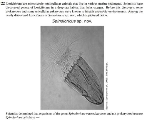 Scientists determined that organisms of the genus spinoloricus we eukaryotes and not prokaryotes bec