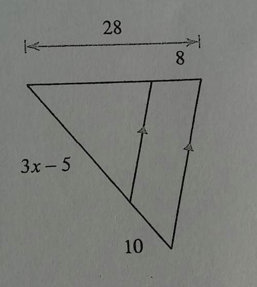 Your solving for x. the triangle is proportional.