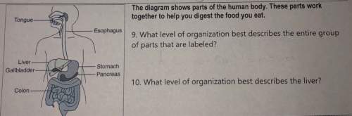 What would be the answers for #9 and #10